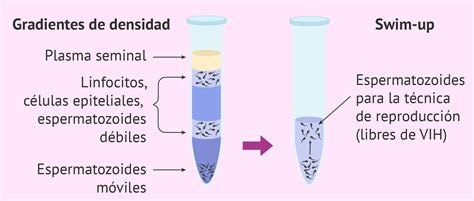 tragar semen vih|Ministerio de Sanidad